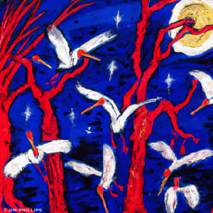 Swamp Birds red trees 004 by Jim Phillips