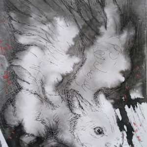 Rabbit by Nasta Martyn, Image 1.