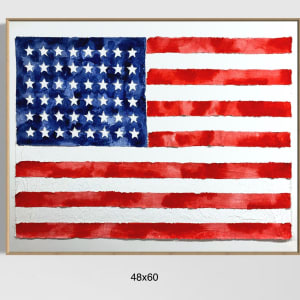 Flags USA F4860 A by Michael Denny Art