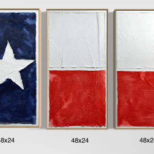 Flags TX Triptych F4872 B by Michael Denny Art