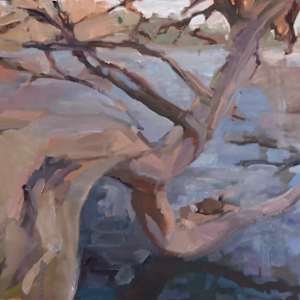 The Turtle and the Tree by Ellen Parker Bibb, Image 1.