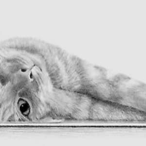 Lounge Kitty by Ann Nystrom Cottone