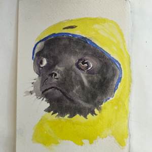 Rain Weather Pug by David  H. L. Blackman, Ph. D. 