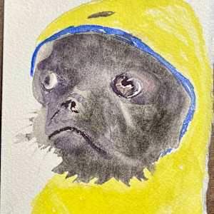 Rain Weather Pug by David  H. L. Blackman, Ph. D. 