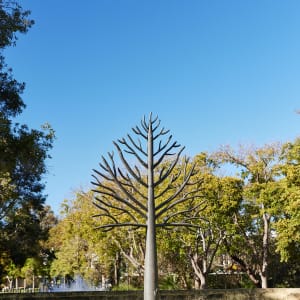 Metal Trees by Kevin Draper