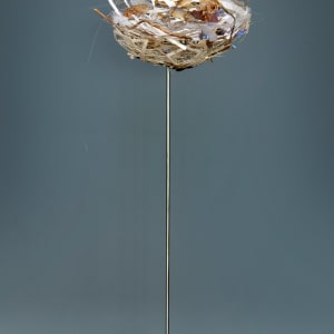 Habitat (Nest II) by Tane Andrews