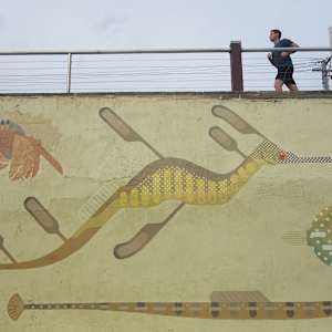 Creatures of Marmion Marine Park by Amok Island  Image: Detail