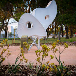 Love Motels for Insects: Emperor Gum Moth by Brandon Ballengee