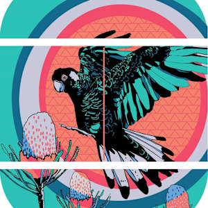 Flight of the Black Cockatoo by Kerise Delcoure 