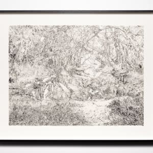 Joondalup Gothic by Andrew Nicholls