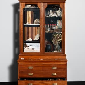 Joondakammer: A Cabinet of Curiosity for Joondalup by Perdita Phillips  Image: Photograph by Dan McCabe