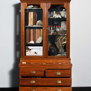 Joondakammer: A Cabinet of Curiosity for Joondalup by Perdita Phillips  Image: Photograph by Dan McCabe