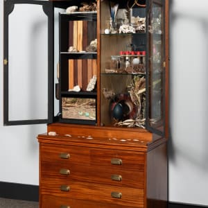 Joondakammer: A Cabinet of Curiosity for Joondalup by Perdita Phillips  Image: Photograph by Dan McCabe