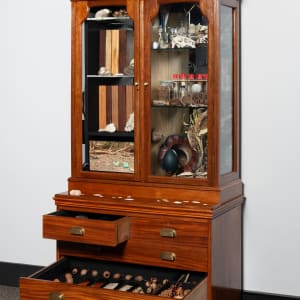 Joondakammer: A Cabinet of Curiosity for Joondalup by Perdita Phillips  Image: Photograph by Dan McCabe