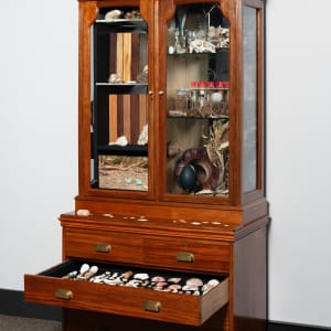 Joondakammer: A Cabinet of Curiosity for Joondalup by Perdita Phillips  Image: Photograph by Dan McCabe