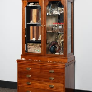 Joondakammer: A Cabinet of Curiosity for Joondalup by Perdita Phillips  Image: Photograph by Dan McCabe