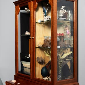 Joondakammer: A Cabinet of Curiosity for Joondalup by Perdita Phillips  Image: Photograph by Dan McCabe
