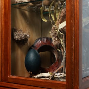 Joondakammer: A Cabinet of Curiosity for Joondalup by Perdita Phillips  Image: Photograph by Dan McCabe