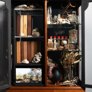 Joondakammer: A Cabinet of Curiosity for Joondalup by Perdita Phillips  Image: Photograph by Dan McCabe