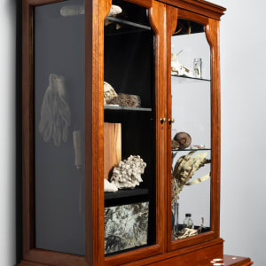 Joondakammer: A Cabinet of Curiosity for Joondalup by Perdita Phillips  Image: Photograph by Dan McCabe