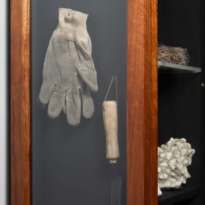 Joondakammer: A Cabinet of Curiosity for Joondalup by Perdita Phillips  Image: Photograph by Dan McCabe