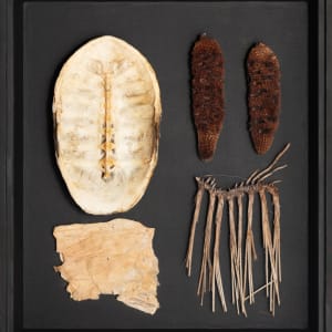 Joondakammer: A Cabinet of Curiosity for Joondalup by Perdita Phillips  Image: Photograph by Dan McCabe