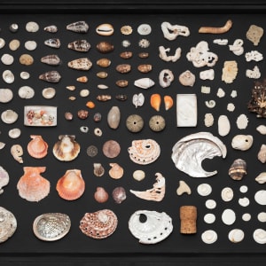 Joondakammer: A Cabinet of Curiosity for Joondalup by Perdita Phillips  Image: Photograph by Dan McCabe