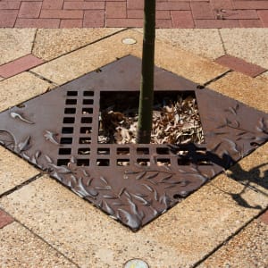 Tree Grates by Peter Dailey 