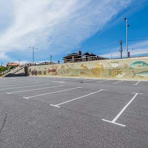 Creatures of Marmion Marine Park by Amok Island