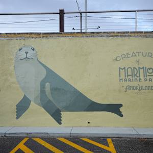 Creatures of Marmion Marine Park by Amok Island  Image: Detail
