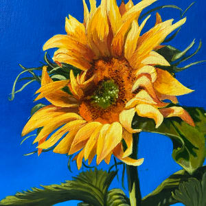 The Cheerful Sunflower by Julie Kay Midyett