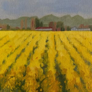 Field of Yellow Flowers by Julie Kay Midyett