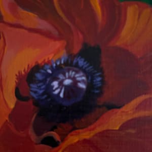 Poppy by Julie Kay Midyett
