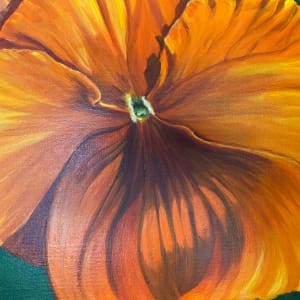 Orange Pansy by Julie Kay Midyett