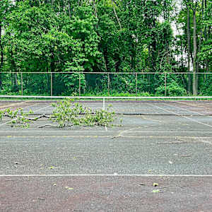 Tennis/Tree Limb by Brad Terhune, Image 1.