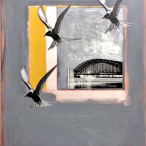 Cages Wrecking Rivers by Brad Terhune, Image 1.