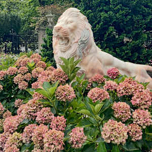 Lion/Hydrangea by Brad Terhune, Image 1.