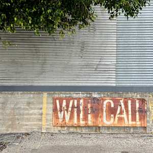 Diebenkorn In Bergamot Station by Brad Terhune