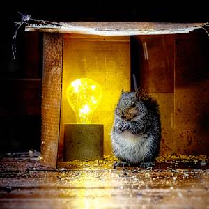 Storm Shelter editions 5/250 by Wendy Nelson Photography
