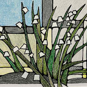 Spring Snowflakes by Miranda Pender