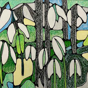 Woodland Snowdrops by Miranda Pender