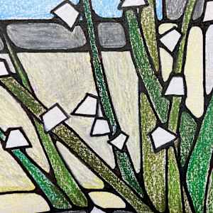 Spring Snowflakes by Miranda Pender 