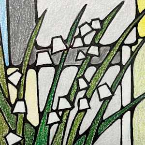 Spring Snowflakes by Miranda Pender 