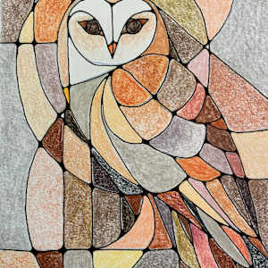Barn Owl by Miranda Pender