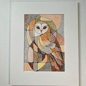 Barn Owl by Miranda Pender 