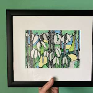 Woodland Snowdrops by Miranda Pender 