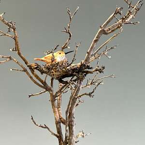 Chasing the Moonlight by Maria Wickwire, Image 2.