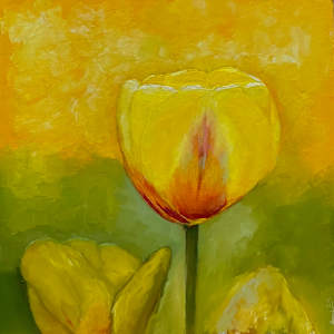 Tulip by Anton Mogilevsky