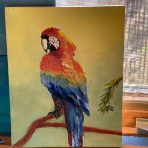 Parrot by Anton Mogilevsky