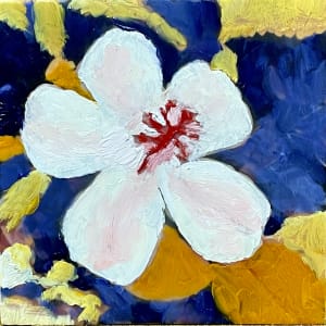 Maui Hibiscus by Anton Mogilevsky